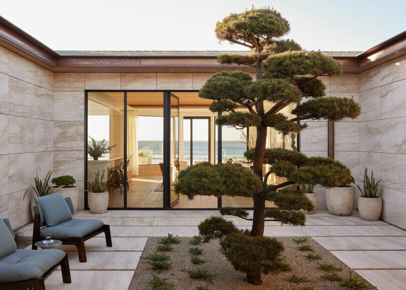 A minimalist courtyard with a sculpted tree, potted plants, and two blue chairs, opening into a modern interior with large glass doors and an ocean view in the background.