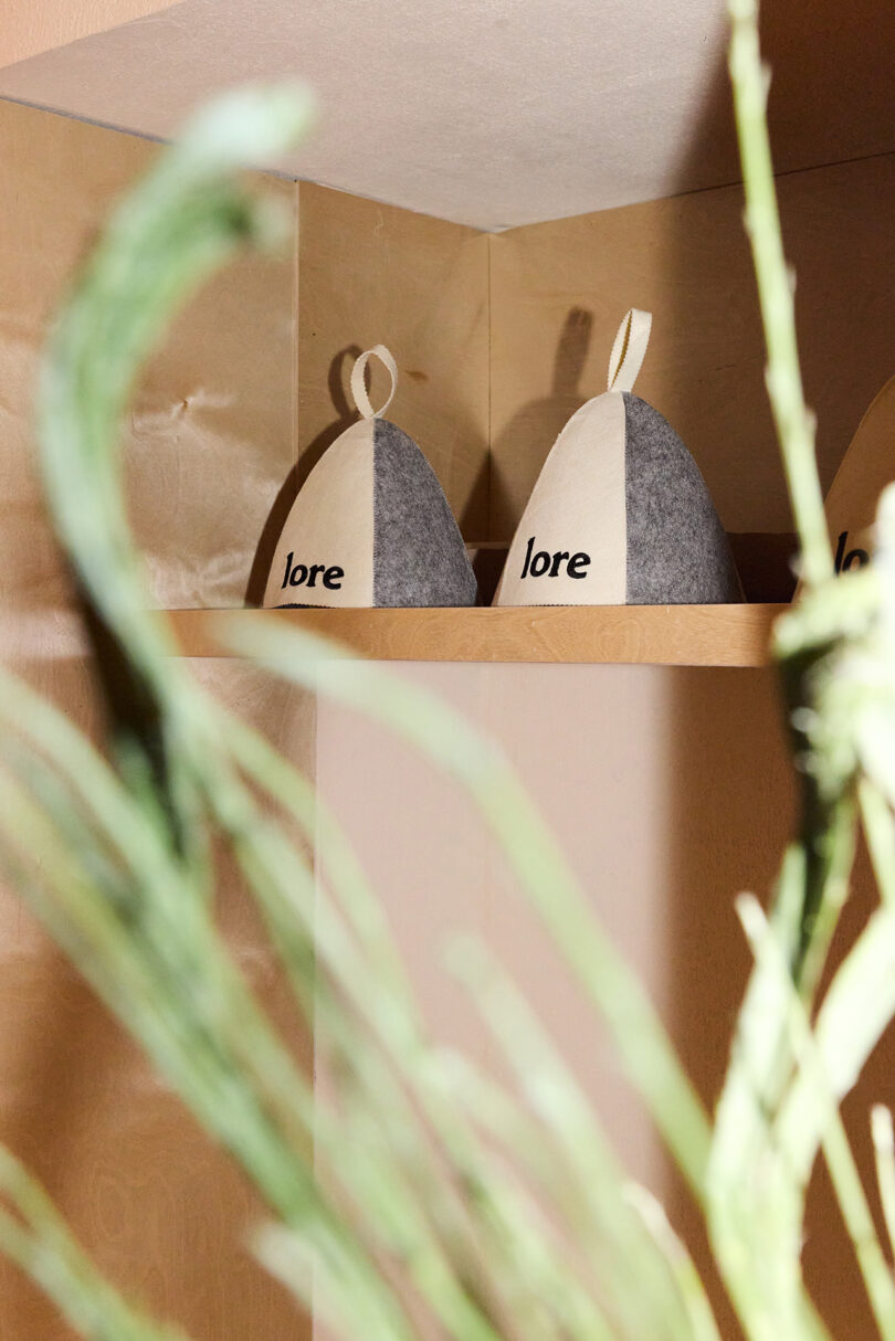 Two gray and white felt hats labeled "lore" are displayed on a wooden shelf, partially obscured by green plant leaves in the foreground.