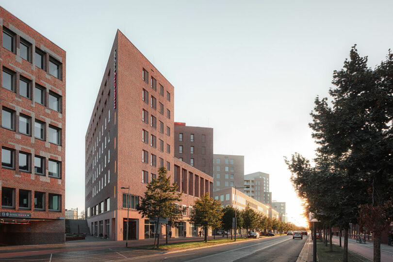 A modern city street with multi-story brick buildings, trees lining the sidewalk, and cars parked along the road at sunset.