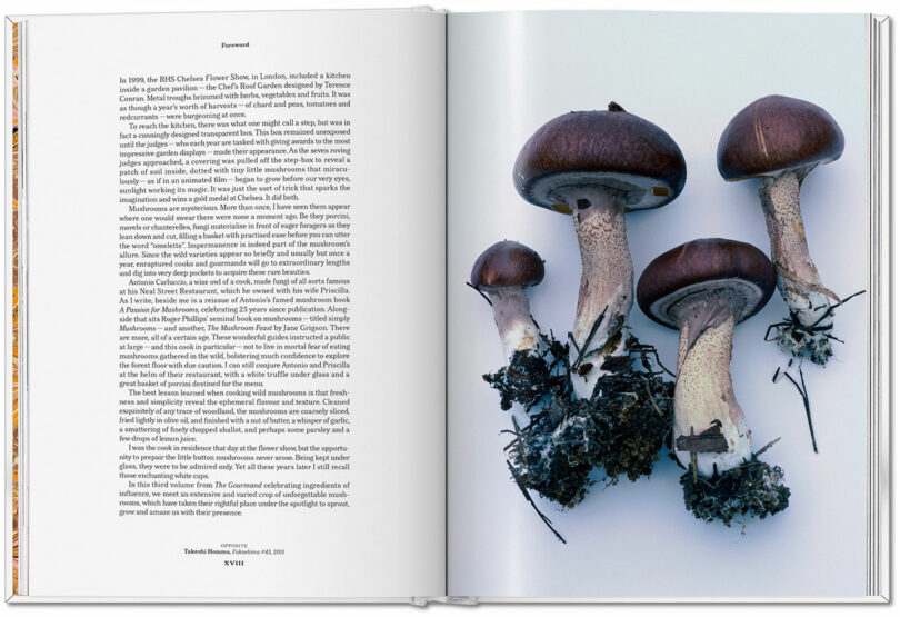 Open book showing a foreword on the left page and four brown mushrooms with soil and roots attached on the right page, inviting curiosity about their earthy taste, all set against a white background.