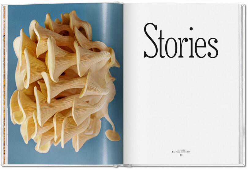 Open book showing a cluster of pale yellow mushrooms on the left page and the word "Stories" in large black text on the right, inviting you to discover the taste of new adventures within its pages.