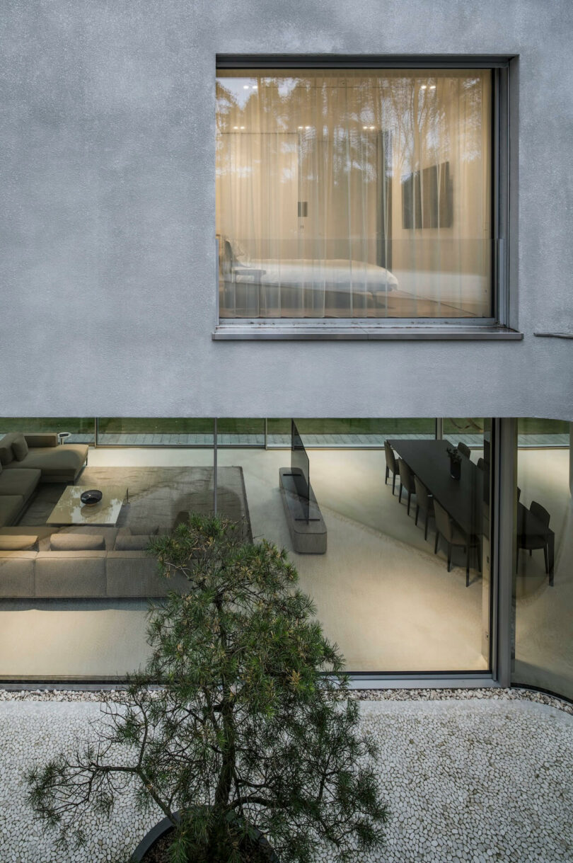 Modern two-story house exterior by KWK Promes, featuring large windows that reveal a living and dining area below and a furnished room above; small tree in gravel courtyard sits in the foreground.