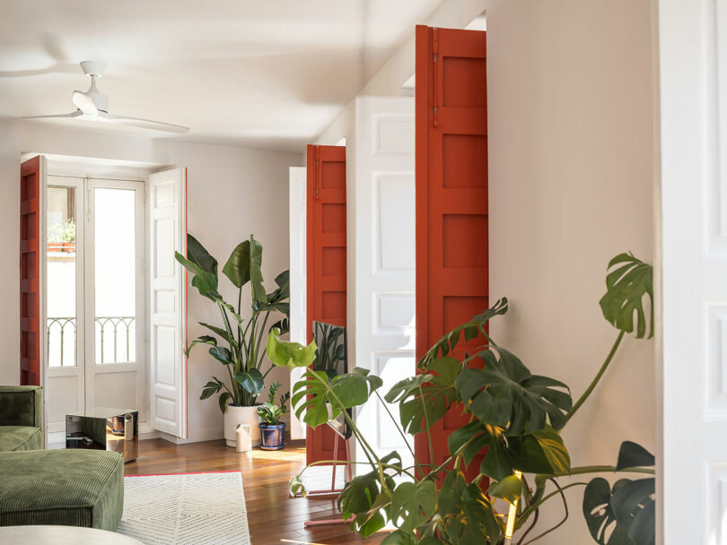 Bright living space with wooden floors, large green plants, white walls, and red shutter-style doors. Natural light enters through glass doors leading to a small balcony.