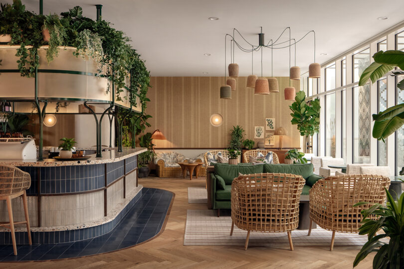 A modern café interior at Roost Rainey with rattan chairs, a green sofa, hanging plants, a tiled counter, and large windows filling the space with natural light.