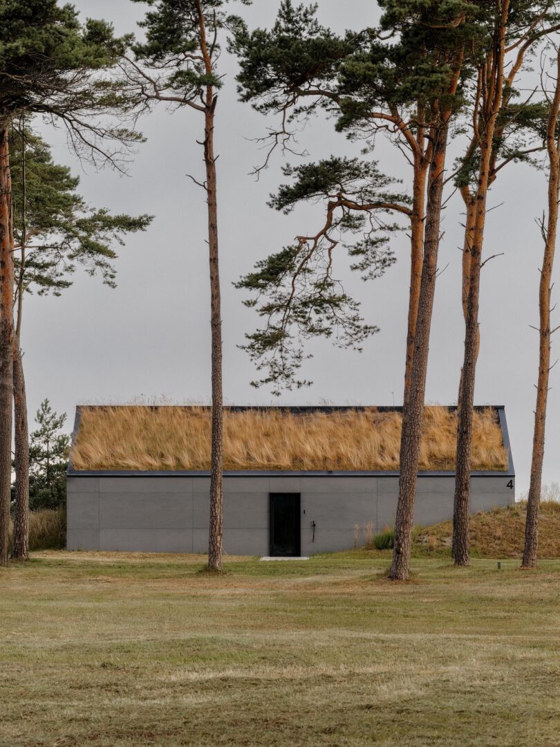 A modern gray building with a grass-covered roof stands behind tall pine trees on a grassy field under an overcast sky.