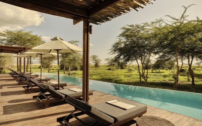 A row of lounge chairs and umbrellas lines a wooden deck beside a long outdoor pool, overlooking a grassy landscape with scattered trees.
