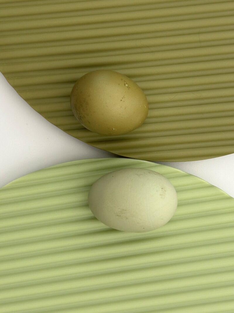 Two eggs, one brown and one pale green, placed on ribbed, round, green mats overlapping on a white surface.