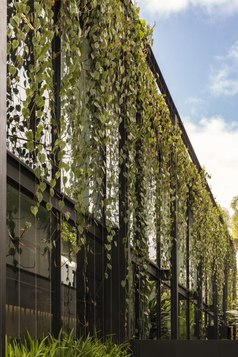 Modern building facade with large windows and vertical hanging green plants cascading down from the roof.