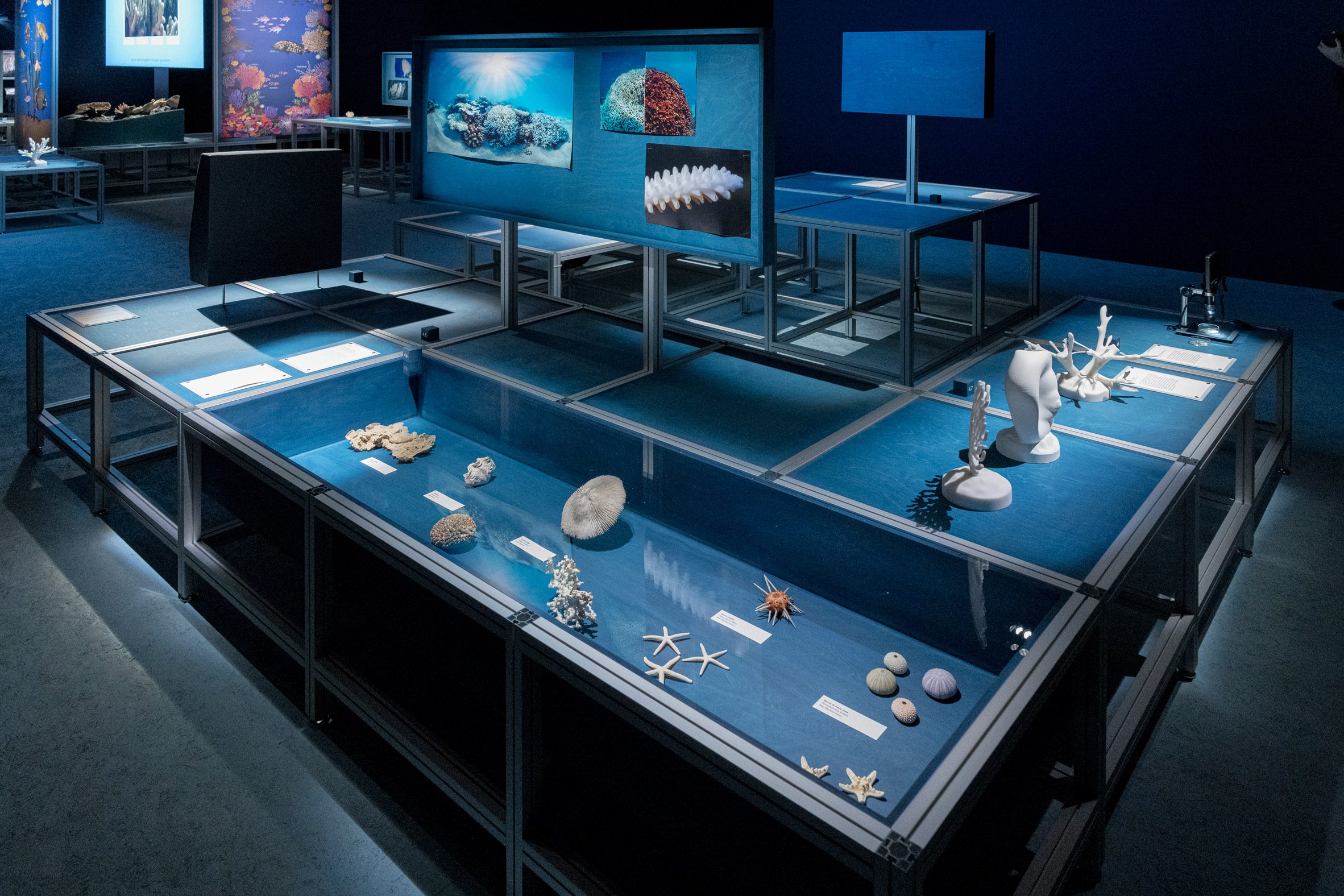 Modular exhibition cases