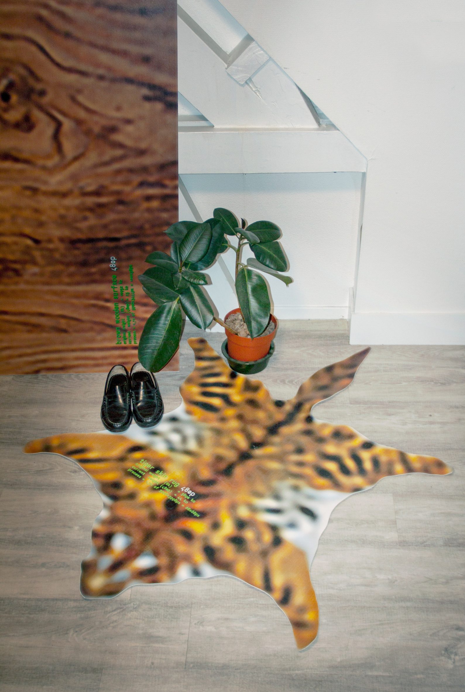 Blurry tiger skin rug on floor