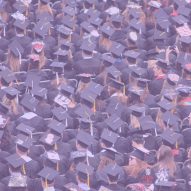Graduates