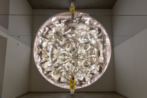 A circular installation filled with illuminated cut-outs of wildlife